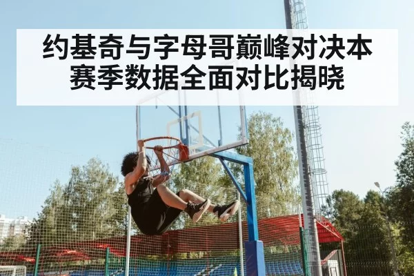 约基奇与字母哥巅峰对决本赛季数据全面对比揭晓