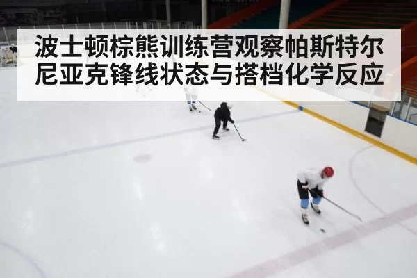ice hockey training camp